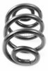 BUGIAD BSP24344 Coil Spring